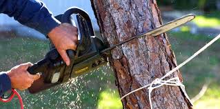 Best Arborist Consultation Services  in Red Hill, SC